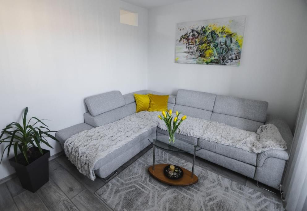 Apartman ISKRA