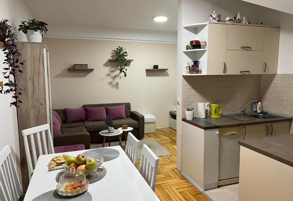 Apartman Simic M