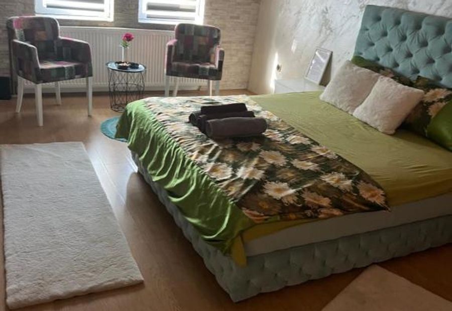 President spa apartman Arandjelovac