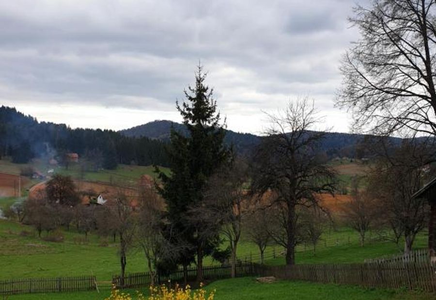 Kuća za odmor - Martić, Rudno, Golija