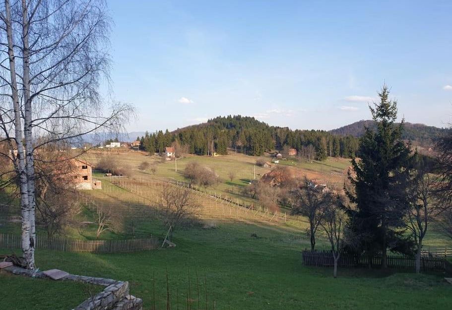 Kuća za odmor - Martić, Rudno, Golija