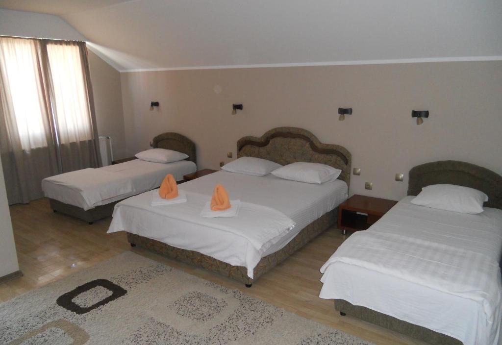 Guest house Vila Bor