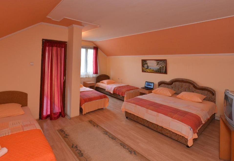 Guest house Vila Bor