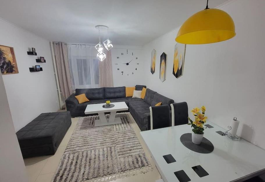 Spacious Apartment in Novi Sad