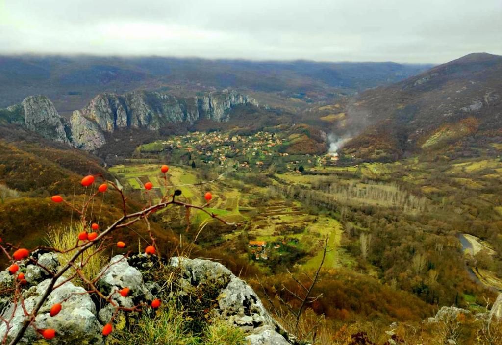 Golemi kamik apartmani Pirot Vlasi