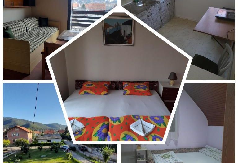 Apartman studio Kenig