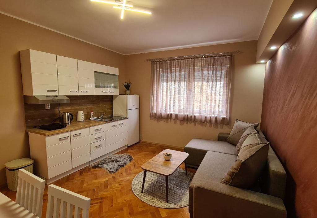 Apartman Drinić