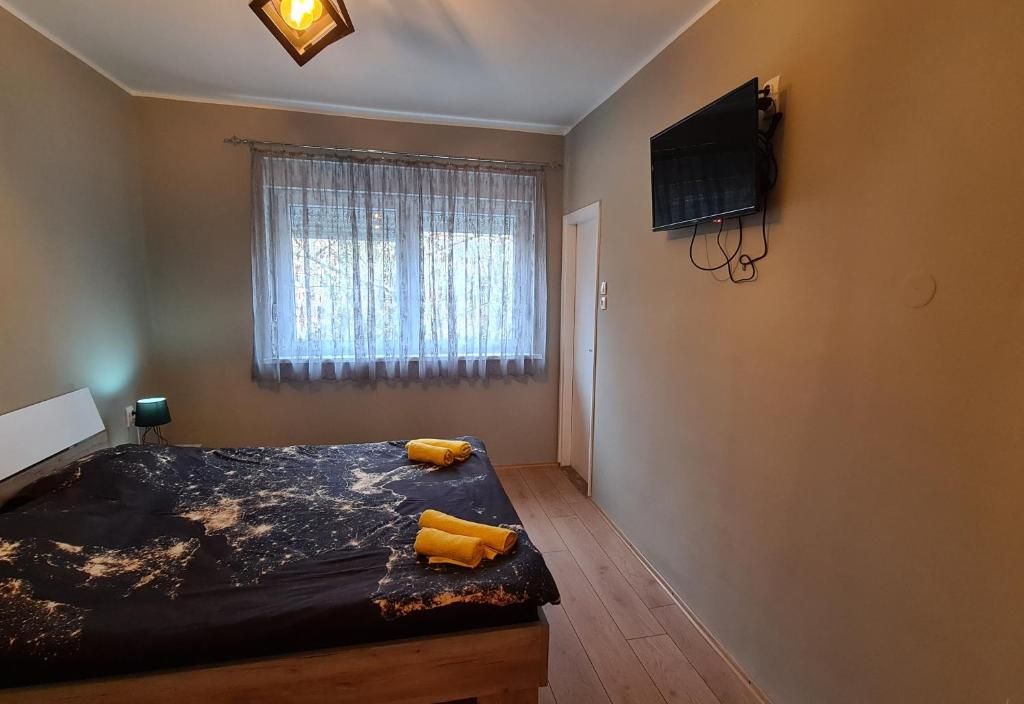 Apartman Drinić