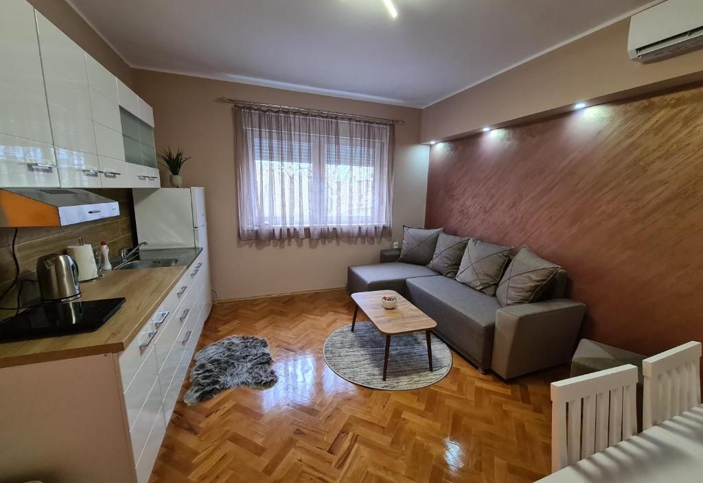 Apartman Drinić