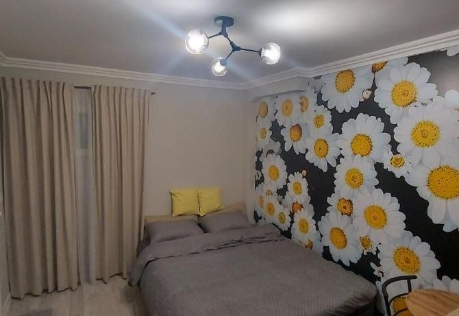 APARTMAN studio DADO