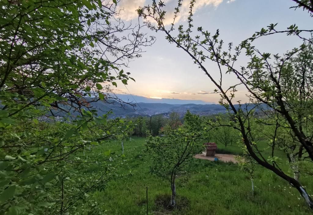 Chalet Belino sokače