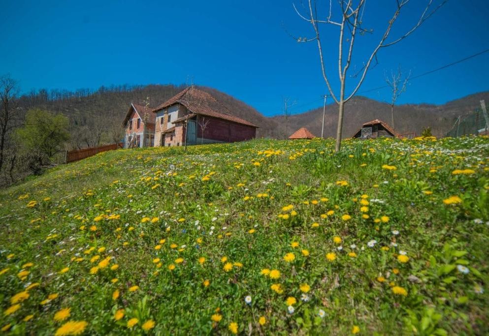 Domaćinstvo kod Baba Jele