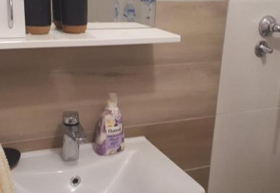 Apartman Dunja Banja Vrdnik