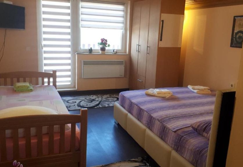 Apartman Dunja Banja Vrdnik