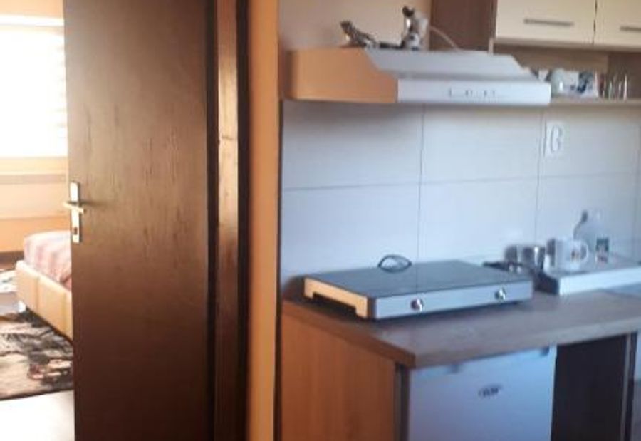 Apartman Dunja Banja Vrdnik