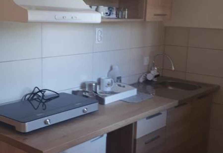 Apartman Dunja Banja Vrdnik