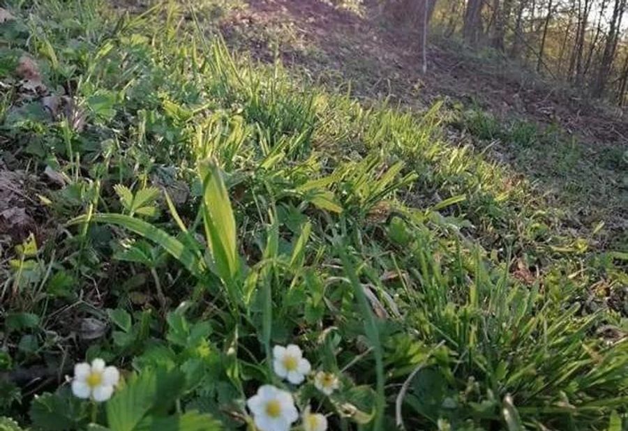 Kuća za odmor Vilin vrt Vrnjacka Banja Otroci