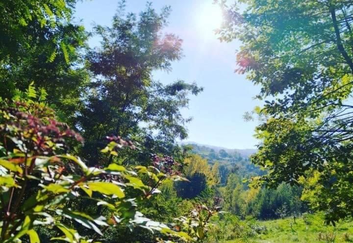 Kuća za odmor Vilin vrt Vrnjacka Banja Otroci