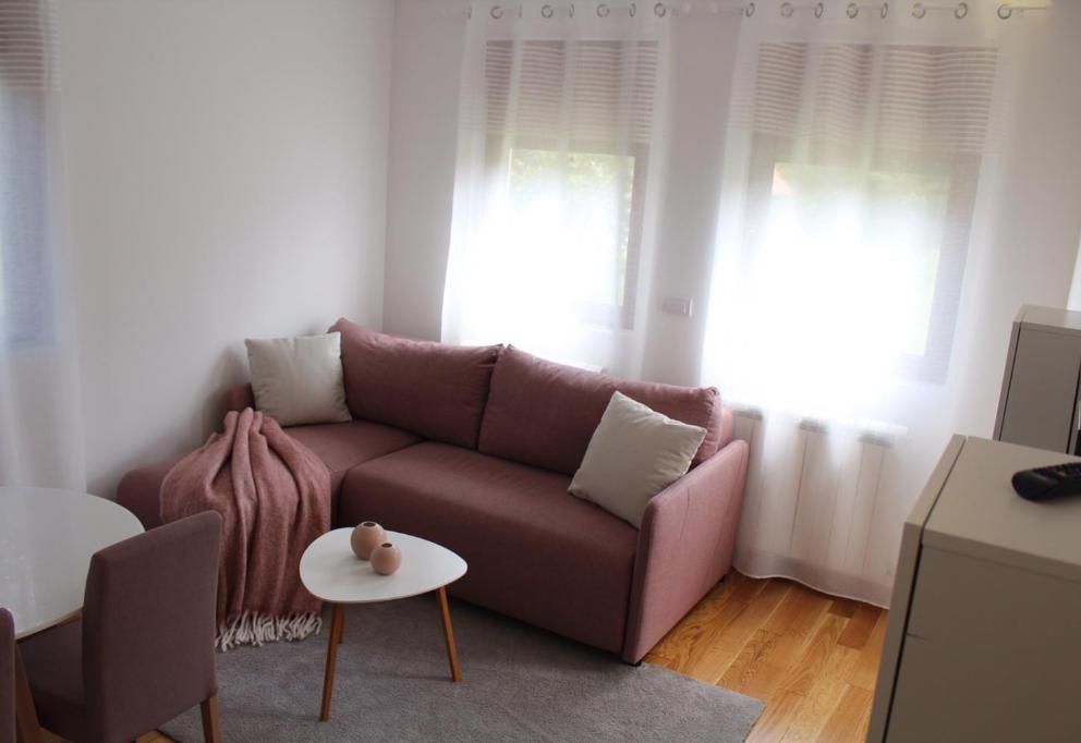 Apartman Davidovic