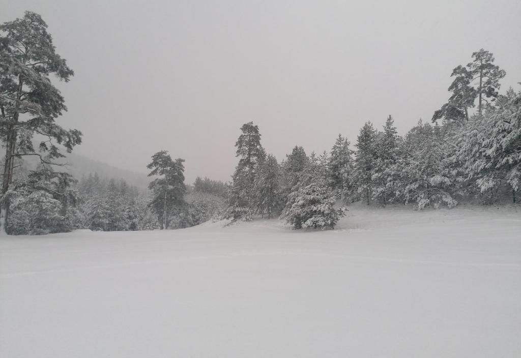 Garac Zlatibor Vikendica