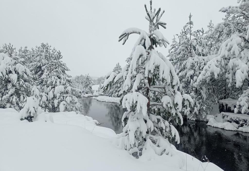 Garac Zlatibor Vikendica