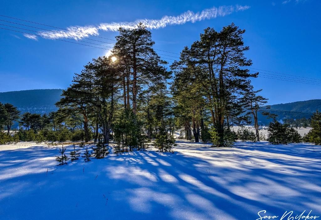 Valentina Spa Zlatibor