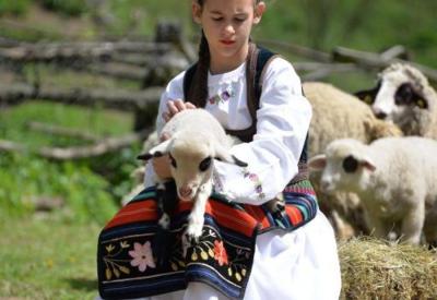 Etno selo Avlija - seosko turističko domaćinstvo