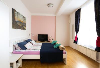 Studio Apartman Ld U Strogom Centru