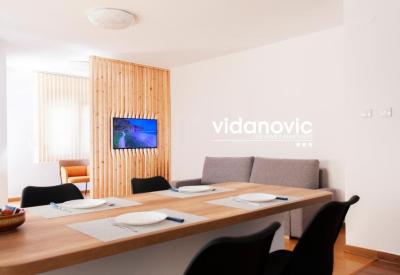 Lux Family Apartment Vidanovic